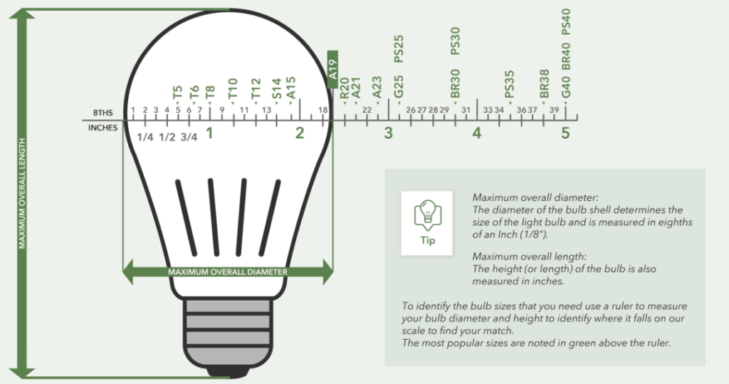 choose bulb size